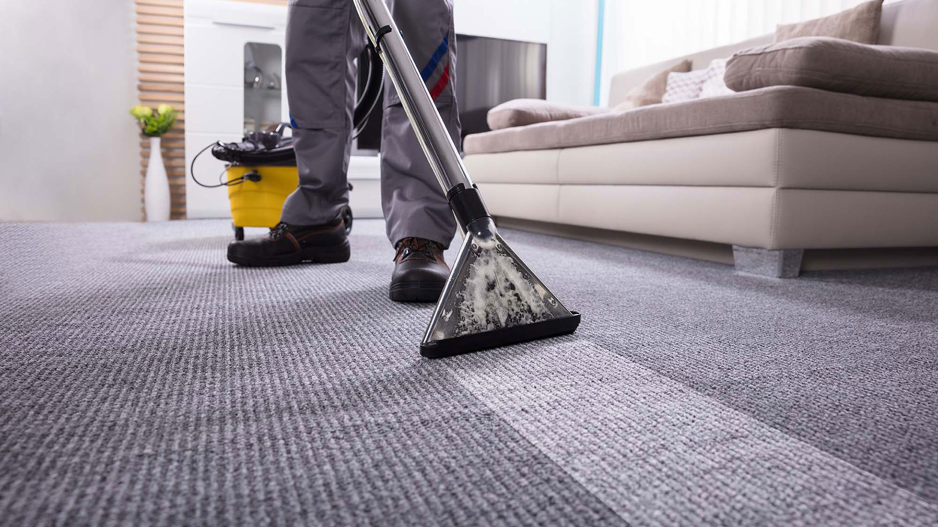 Property Maintenance Christchurch Pest Control Carpet Cleaner