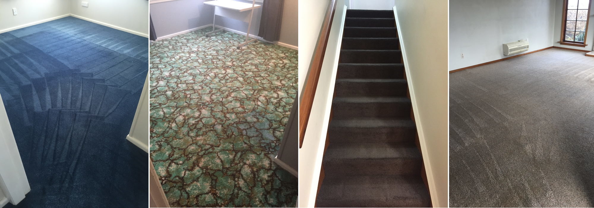 Clean Carpet by Quality Clean