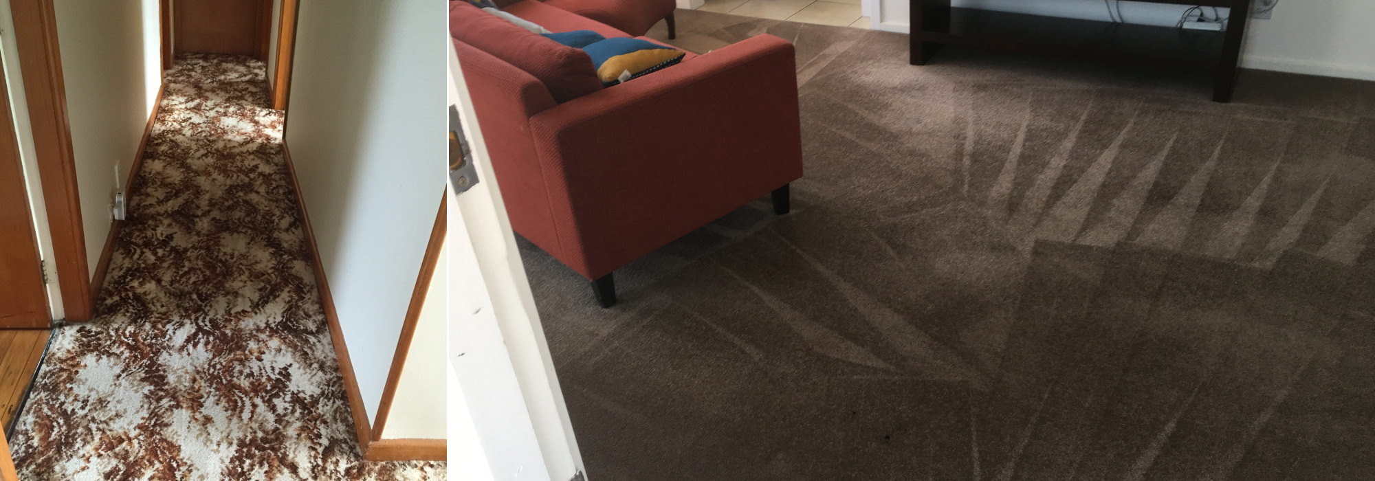 Clean Carpet by Quality Clean
