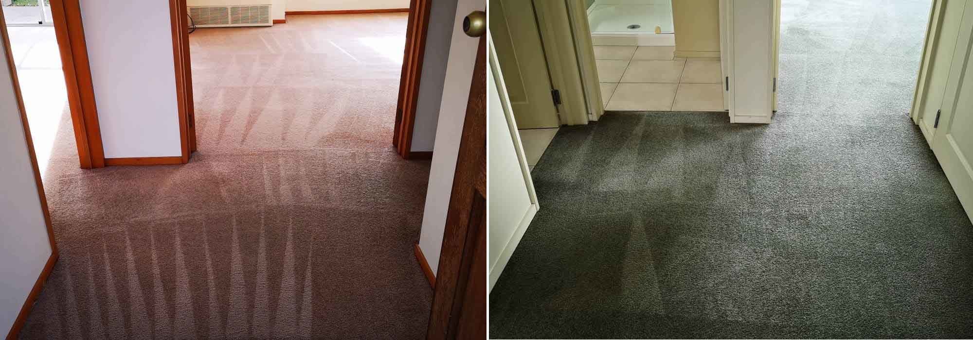 Clean Carpet by Quality Clean